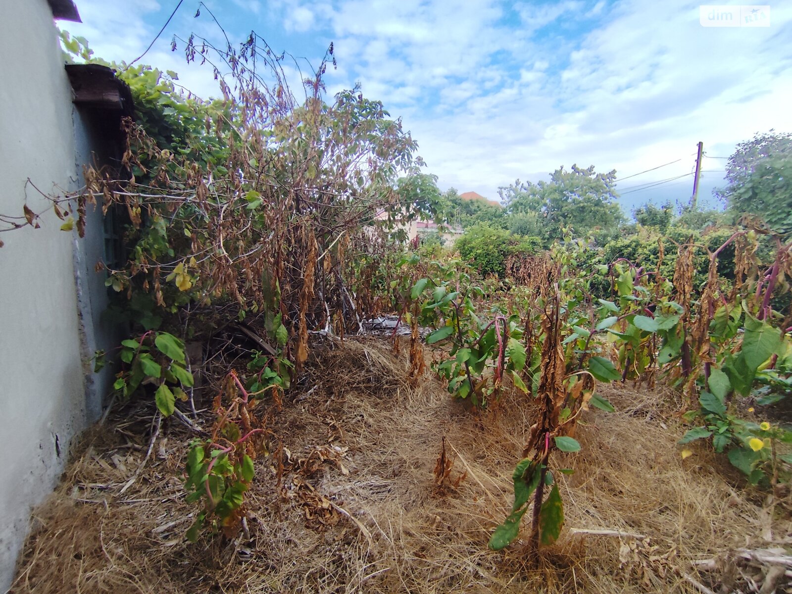 Земля под жилую застройку в Одессе, район Киевский, площадь 11 соток фото 1 Земля под жилую застройку в Одессе, район Киевский, площадь 11 соток фото 1