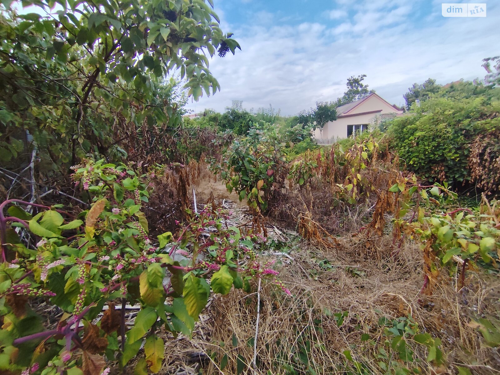 Земля под жилую застройку в Одессе, район Киевский, площадь 11 соток фото 1 Земля под жилую застройку в Одессе, район Киевский, площадь 11 соток фото 1