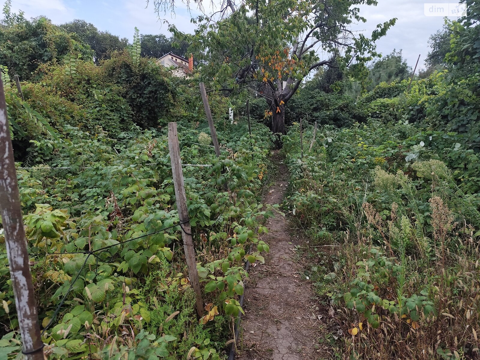 Земля под жилую застройку в Одессе, район Киевский, площадь 12 соток фото 1