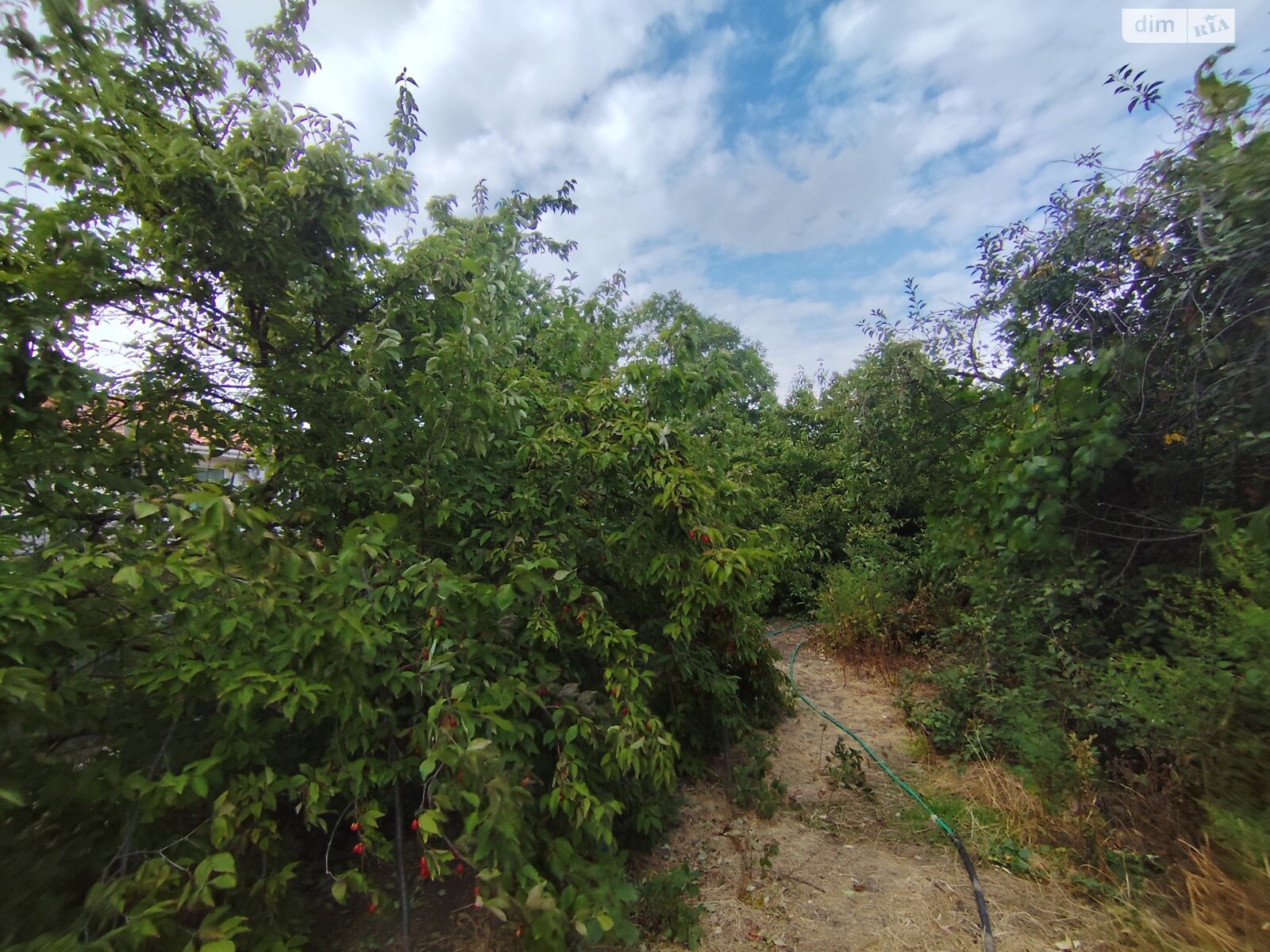 Земля под жилую застройку в Одессе, район Киевский, площадь 12 соток фото 1