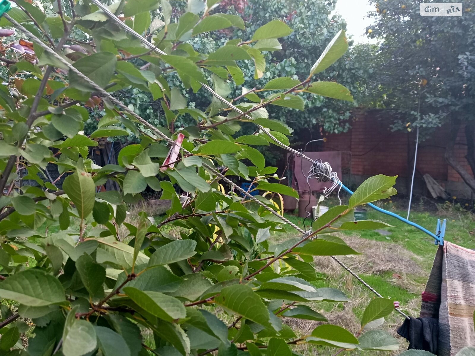 Земля під житлову забудову в Одесі, район undefined, площа 6 соток фото 1 Земля під житлову забудову в Одесі, район undefined, площа 6 соток фото 1