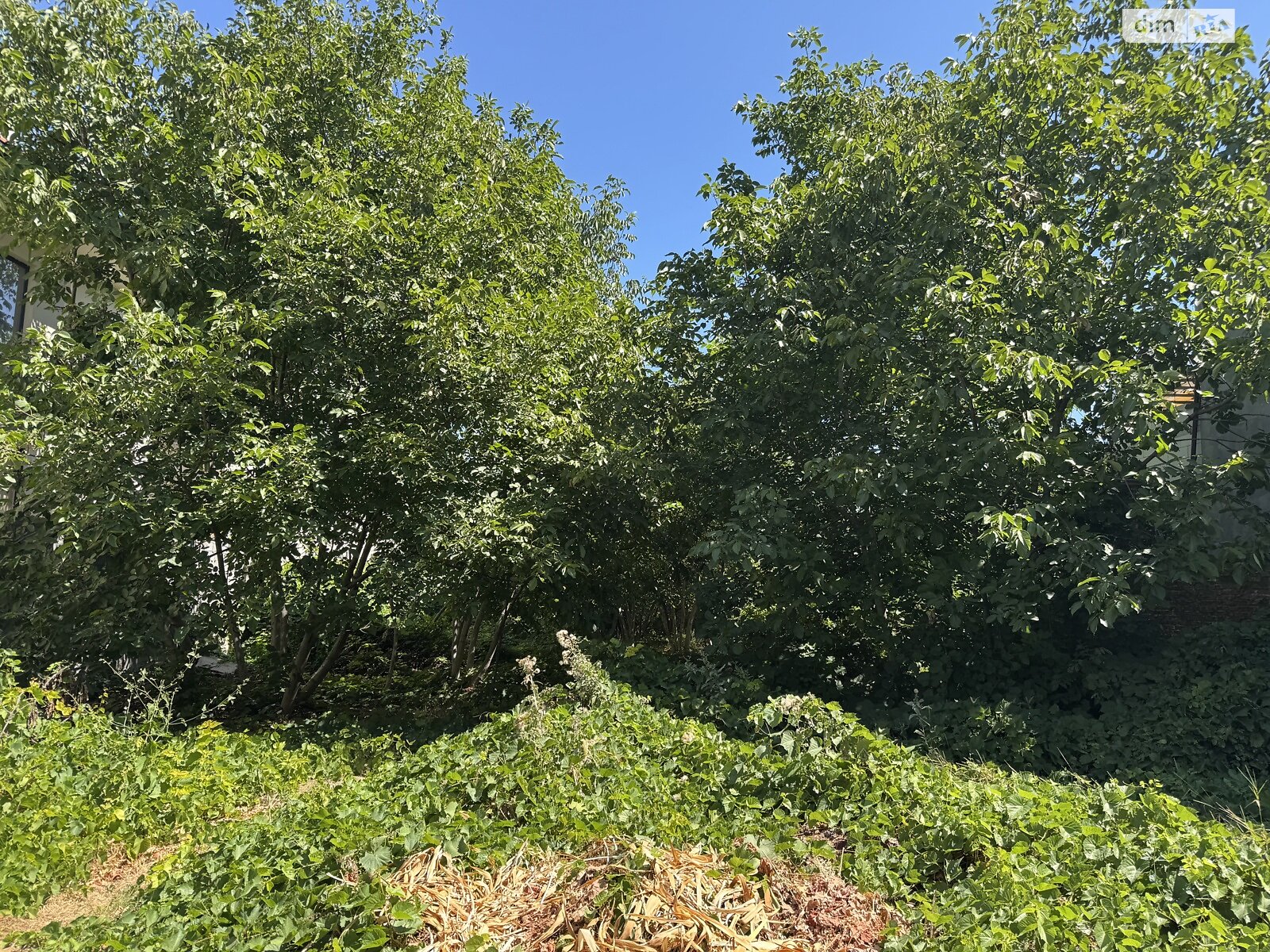 Земля под жилую застройку в Одессе, район Киевский, площадь 10 соток фото 1 Земля под жилую застройку в Одессе, район Киевский, площадь 10 соток фото 1