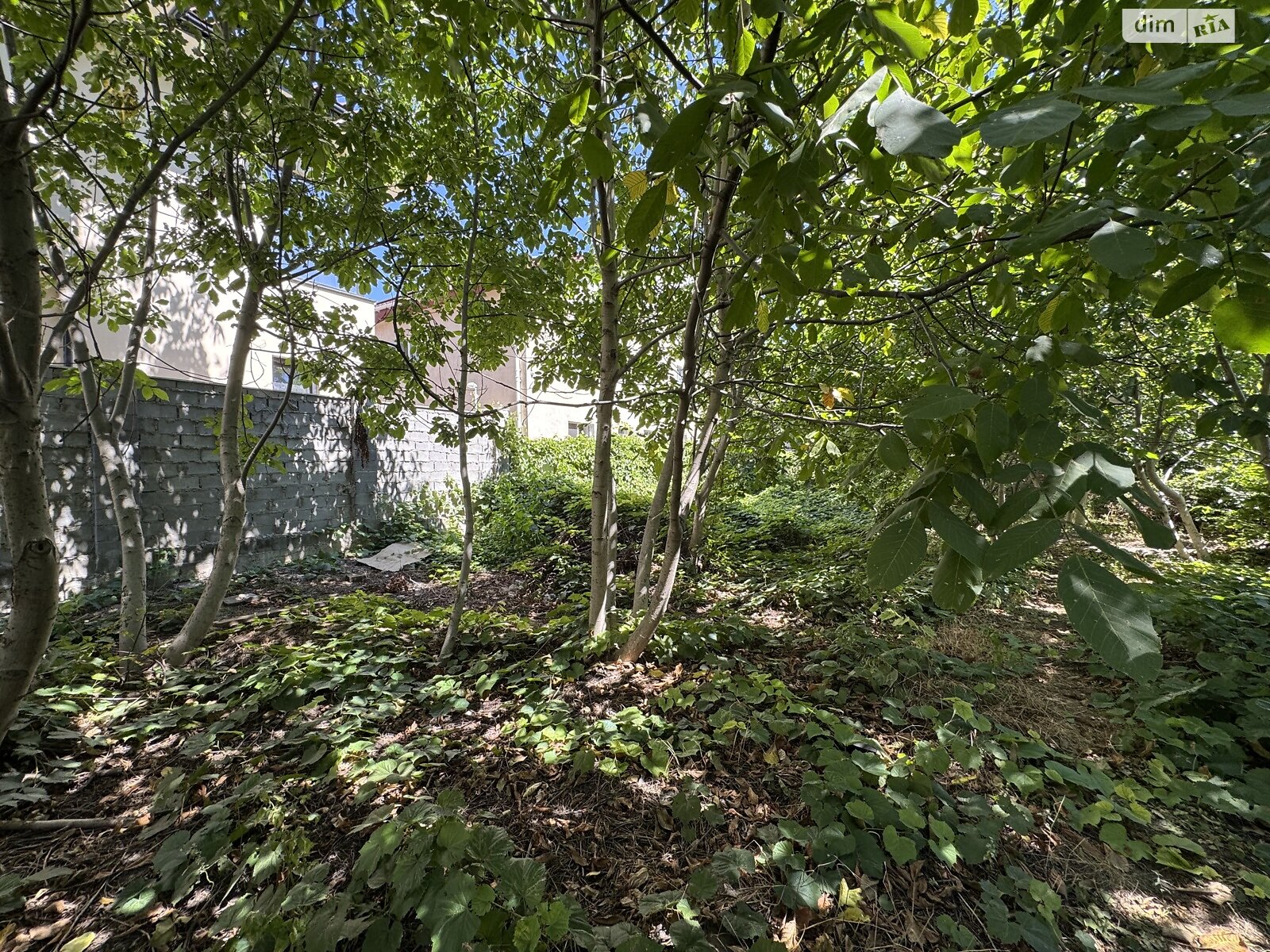 Земля под жилую застройку в Одессе, район Киевский, площадь 10 соток фото 1 Земля под жилую застройку в Одессе, район Киевский, площадь 10 соток фото 1