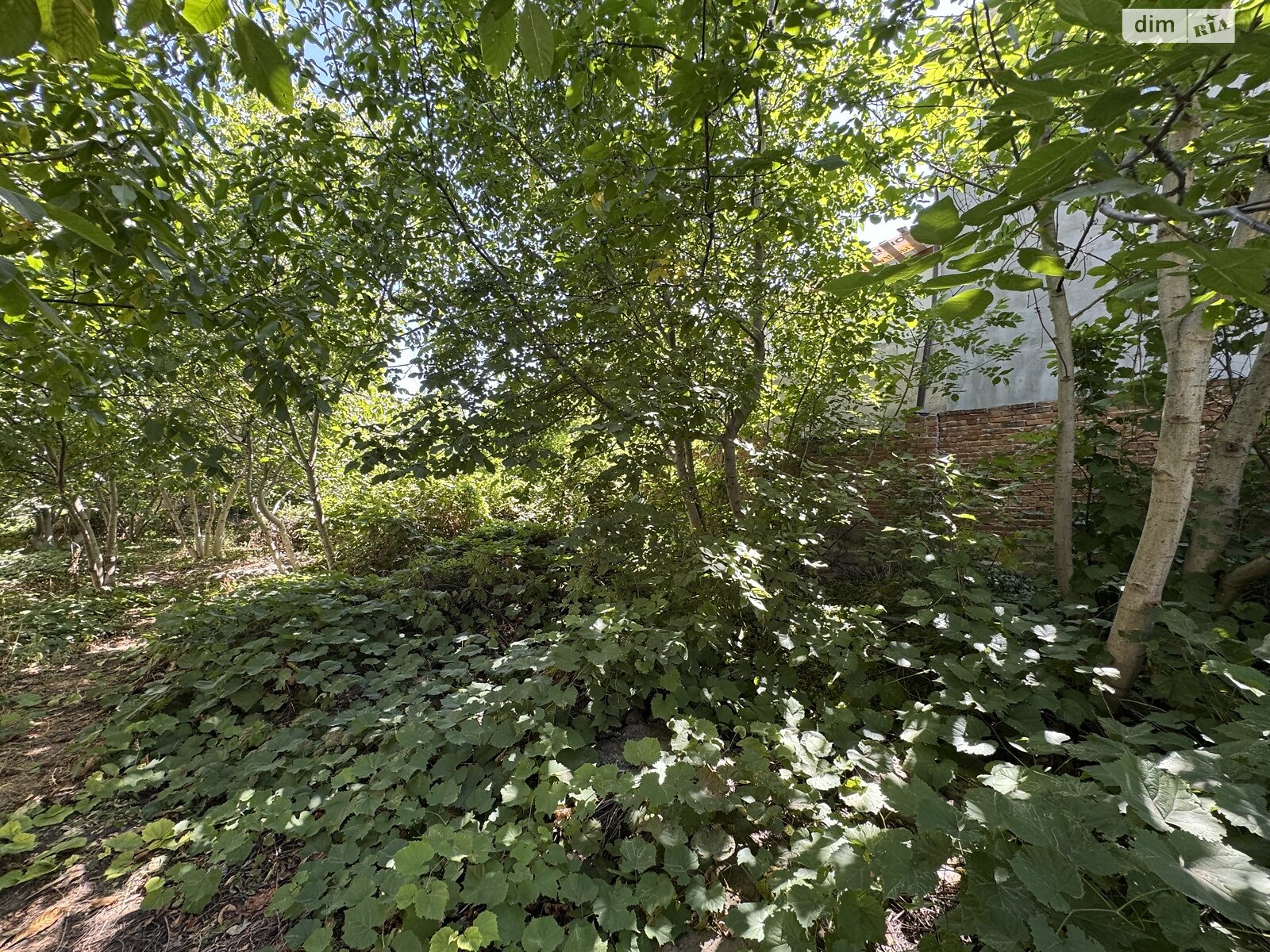 Земля под жилую застройку в Одессе, район Киевский, площадь 10 соток фото 1 Земля под жилую застройку в Одессе, район Киевский, площадь 10 соток фото 1