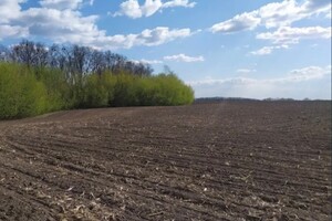 Земельна ділянка під житлову забудову в Ліски, площа 10 соток фото 2