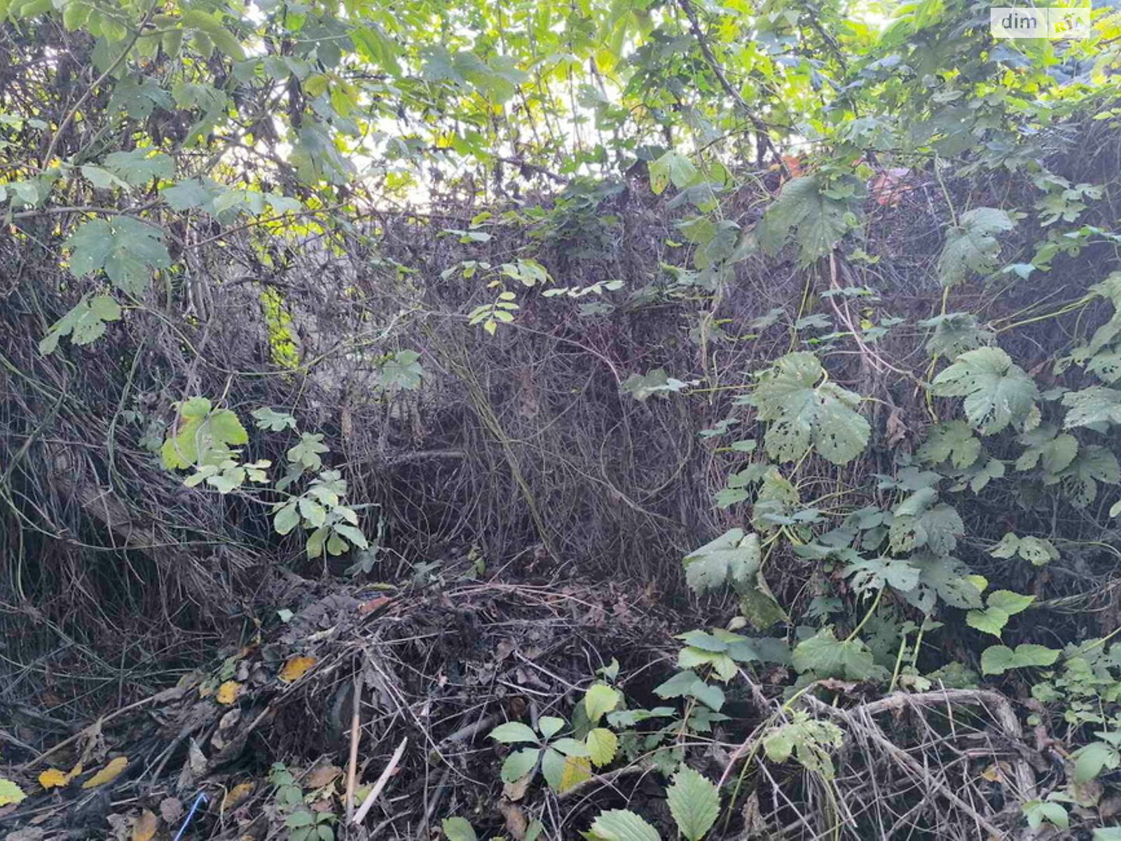 Земельна ділянка під житлову забудову в Одесі, площа 6 соток фото 1 Земельна ділянка під житлову забудову в Одесі, площа 6 соток фото 1