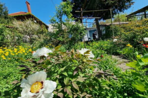 Земля под жилую застройку в Одессе, район Приморский, площадь 7 соток фото 2