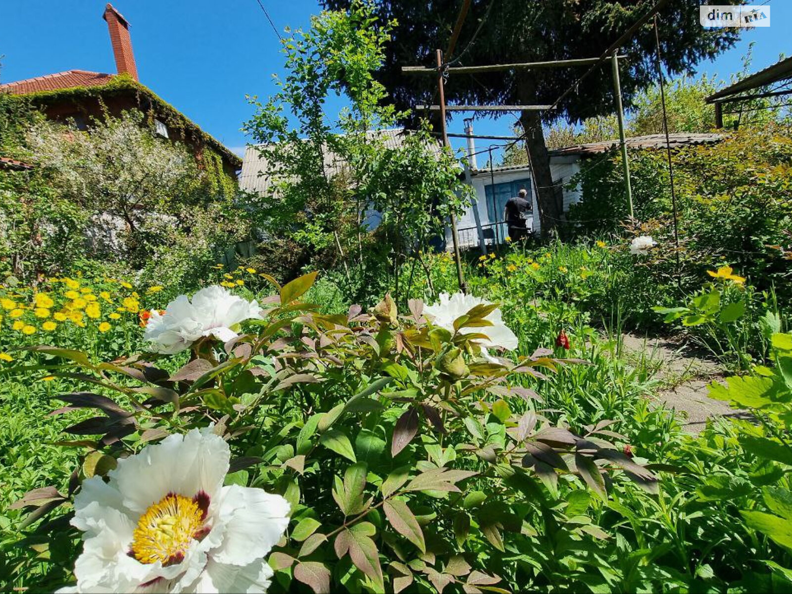Земля под жилую застройку в Одессе, район Приморский, площадь 7 соток фото 1 Земля под жилую застройку в Одессе, район Приморский, площадь 7 соток фото 1