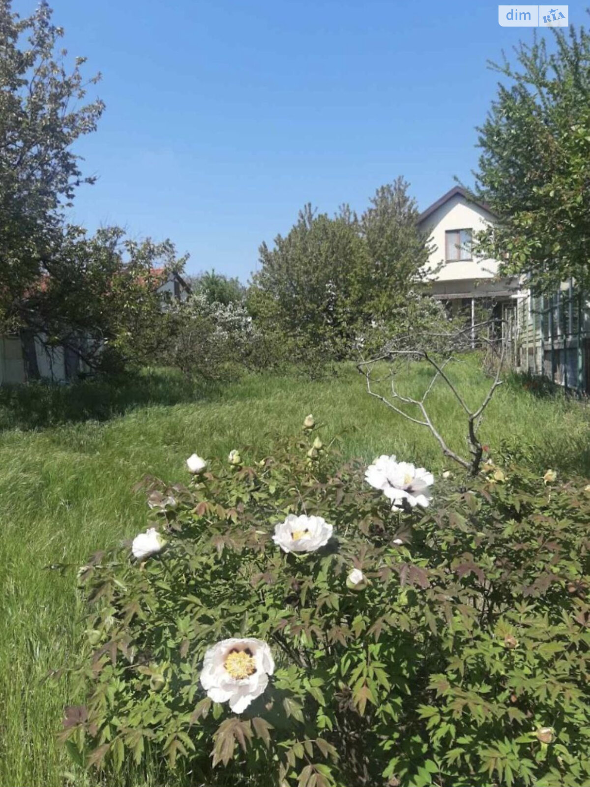 Земля под жилую застройку в Одессе, район Приморский, площадь 7 соток фото 1 Земля под жилую застройку в Одессе, район Приморский, площадь 7 соток фото 1