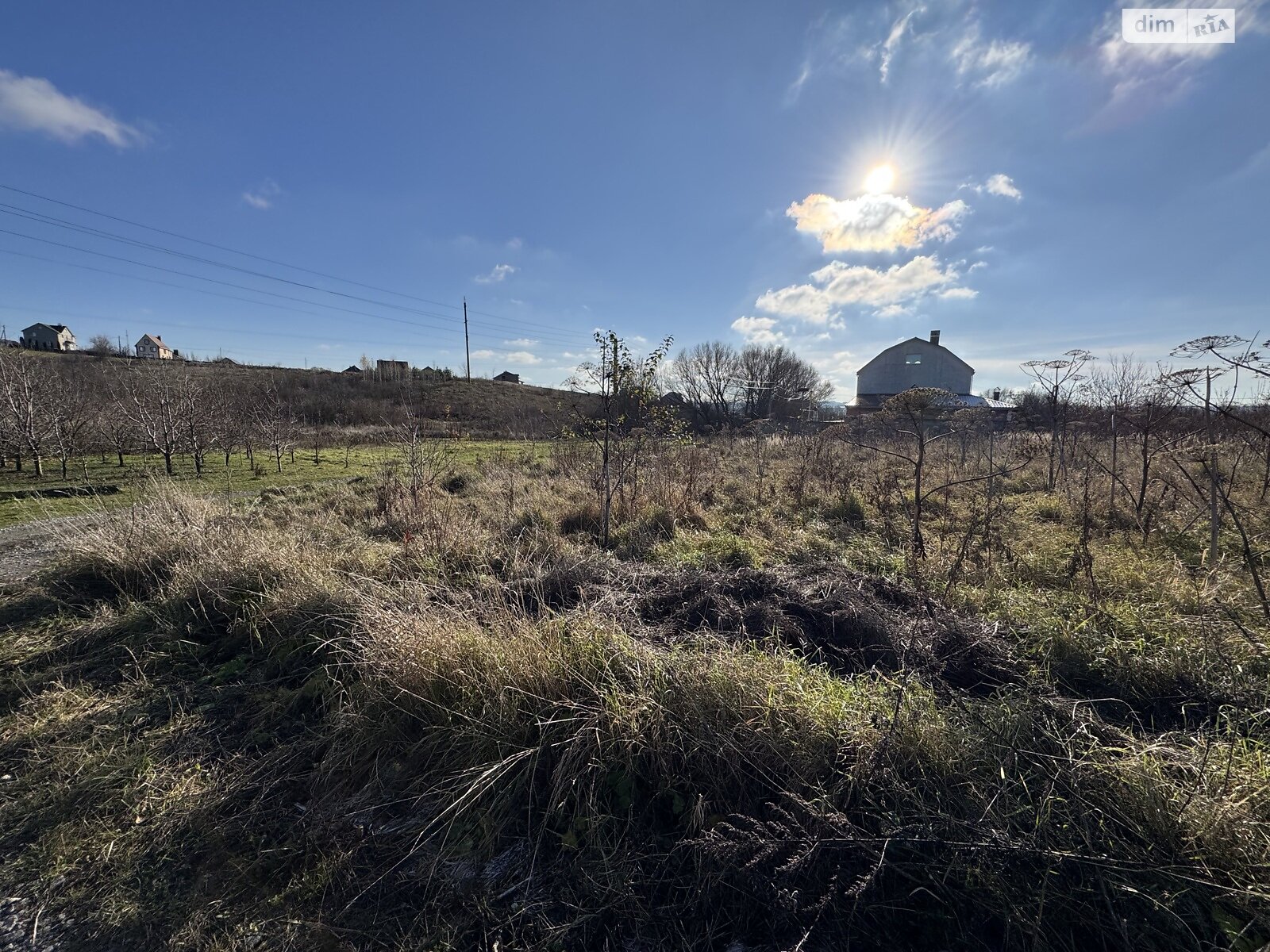 Земельна ділянка під житлову забудову в Олешині, площа 10 соток фото 1