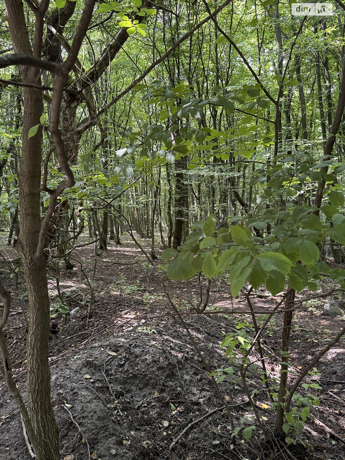 Земельный участок под жилую застройку в Олешине, площадь 11.88 сотки фото 1 Земельный участок под жилую застройку в Олешине, площадь 11.88 сотки фото 1