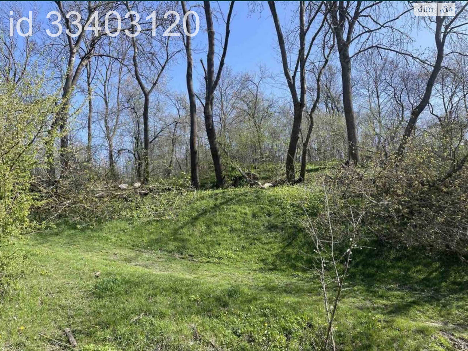 Земельна ділянка під житлову забудову в Олешині, площа 30 соток фото 1