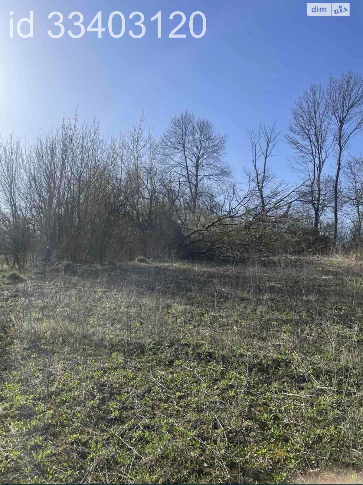 Земельна ділянка під житлову забудову в Олешині, площа 30 соток фото 1