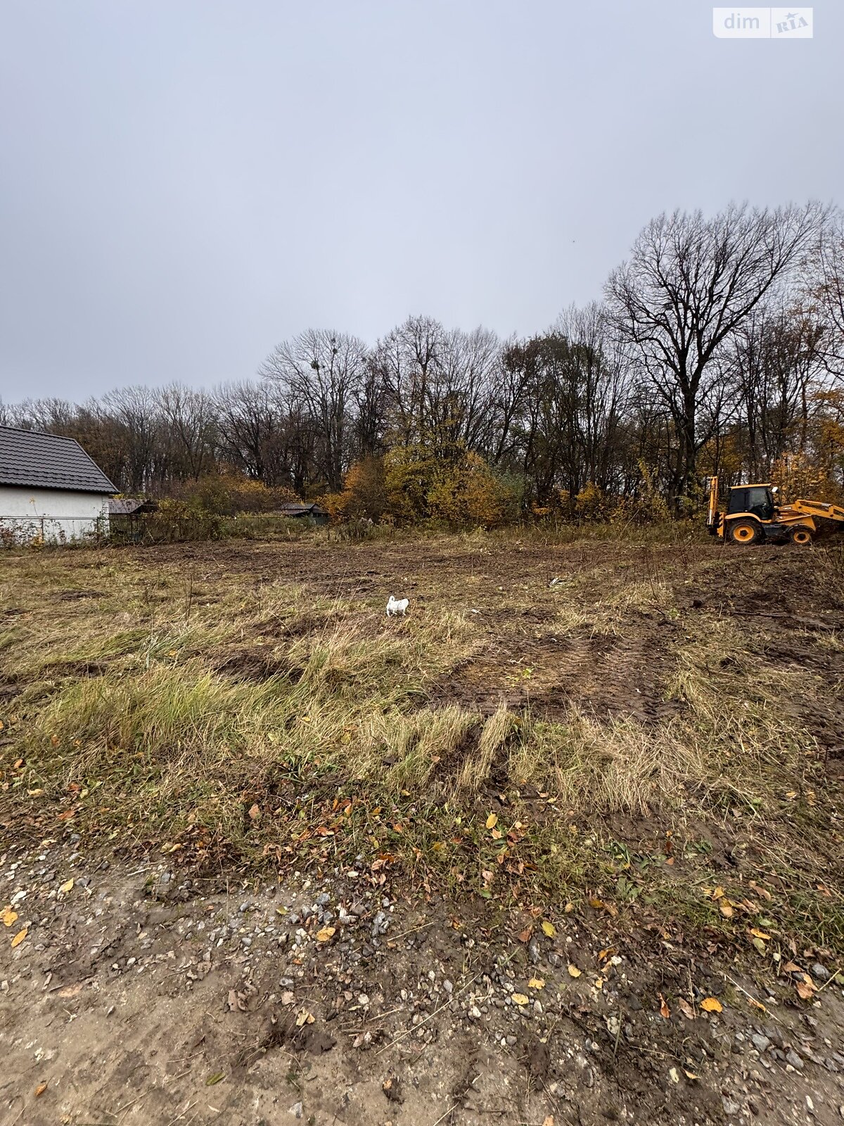 Земельный участок под жилую застройку в Олешине, площадь 11.88 сотки фото 1 Земельный участок под жилую застройку в Олешине, площадь 11.88 сотки фото 1