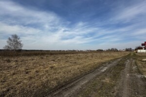 Земельный участок под жилую застройку в Олиевке, площадь 39.85 сотки фото 2