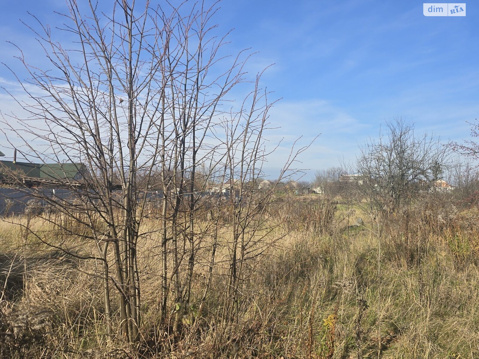 Земельный участок под жилую застройку в Олиевке, площадь 10 соток фото 1