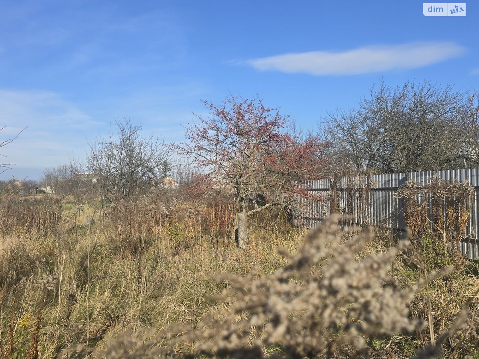 Земельный участок под жилую застройку в Олиевке, площадь 10 соток фото 1