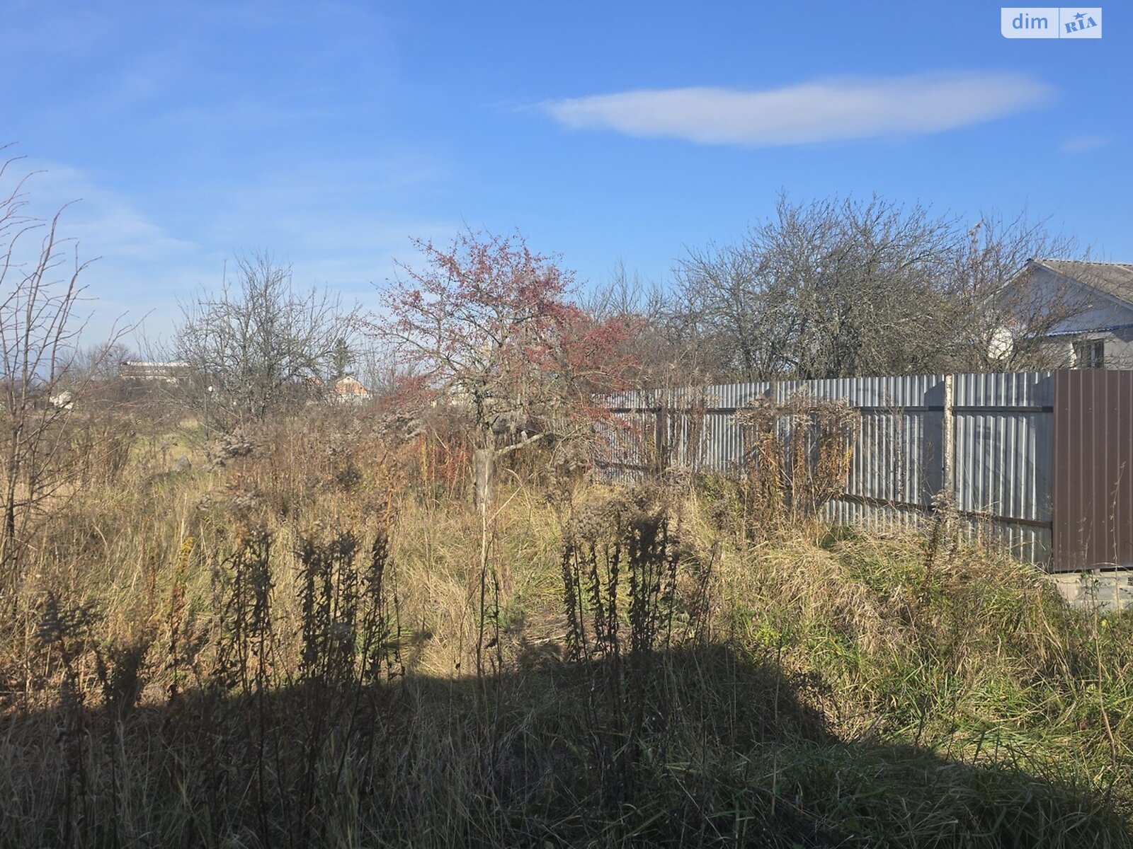 Земельный участок под жилую застройку в Олиевке, площадь 10 соток фото 1