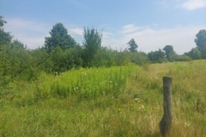 Земельный участок под жилую застройку в Олиевке, площадь 18 соток фото 2