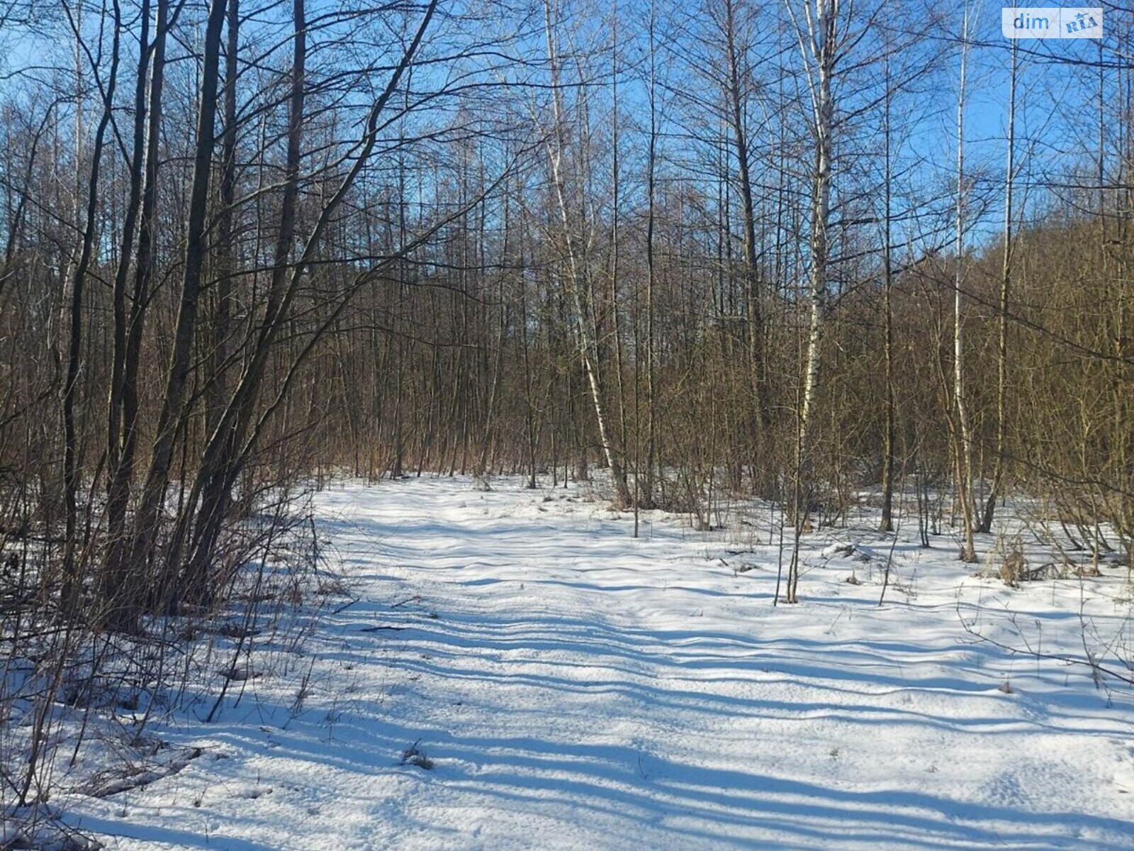 Земельна ділянка під житлову забудову в Олиевке, площа 12 соток фото 1