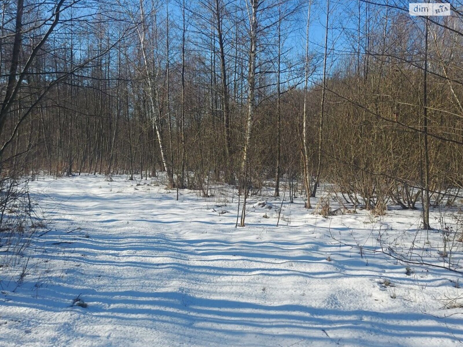 Земельна ділянка під житлову забудову в Олиевке, площа 12 соток фото 1