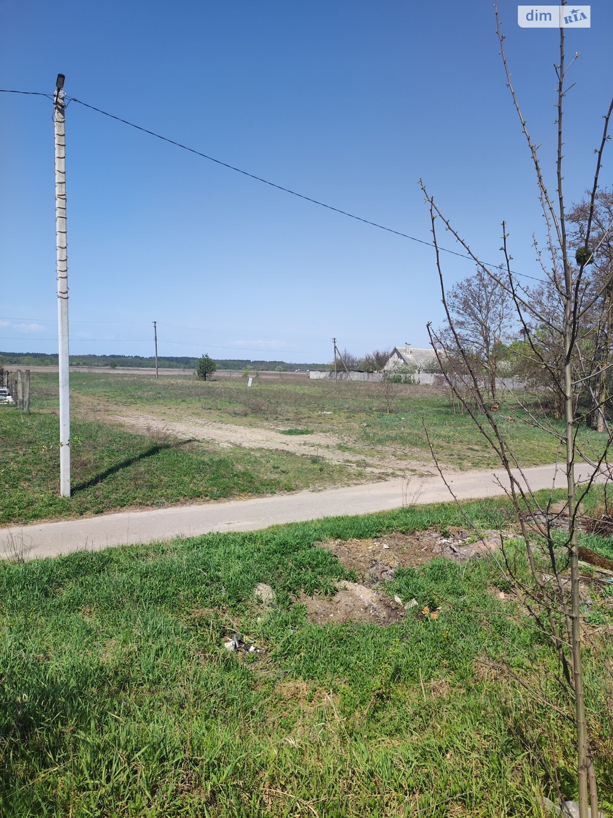 Земельна ділянка під житлову забудову в Олиевке, площа 21 сотка фото 1 Земельна ділянка під житлову забудову в Олиевке, площа 21 сотка фото 1