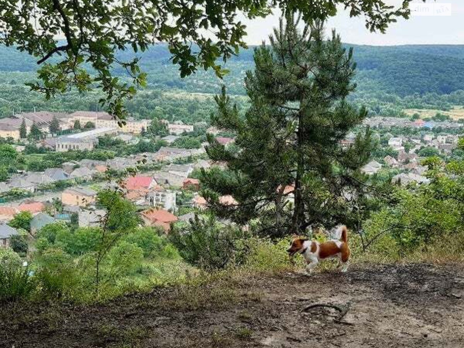 Земельный участок под жилую застройку в Оноковцы, площадь 8 соток фото 1