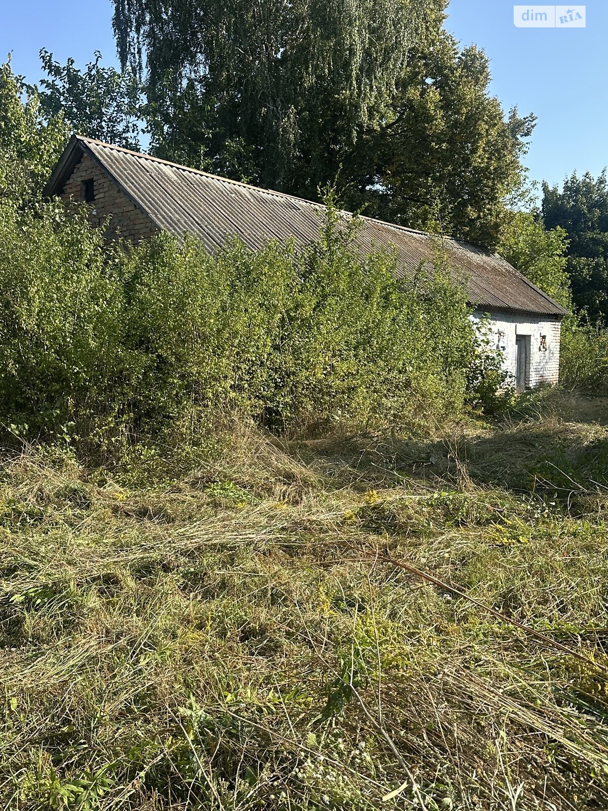 Земельна ділянка під житлову забудову в Орестові, площа 59.79 сотки фото 1 Земельна ділянка під житлову забудову в Орестові, площа 59.79 сотки фото 1