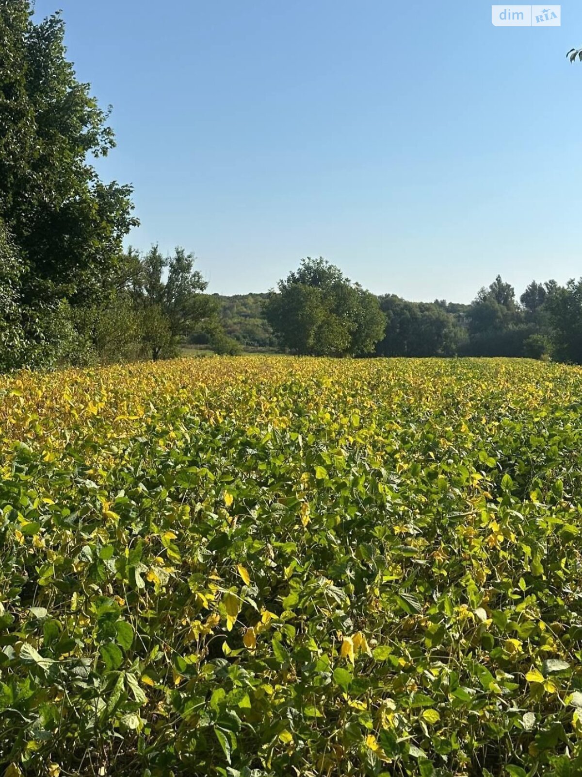 Земельный участок под жилую застройку в Орестове, площадь 59 соток фото 1