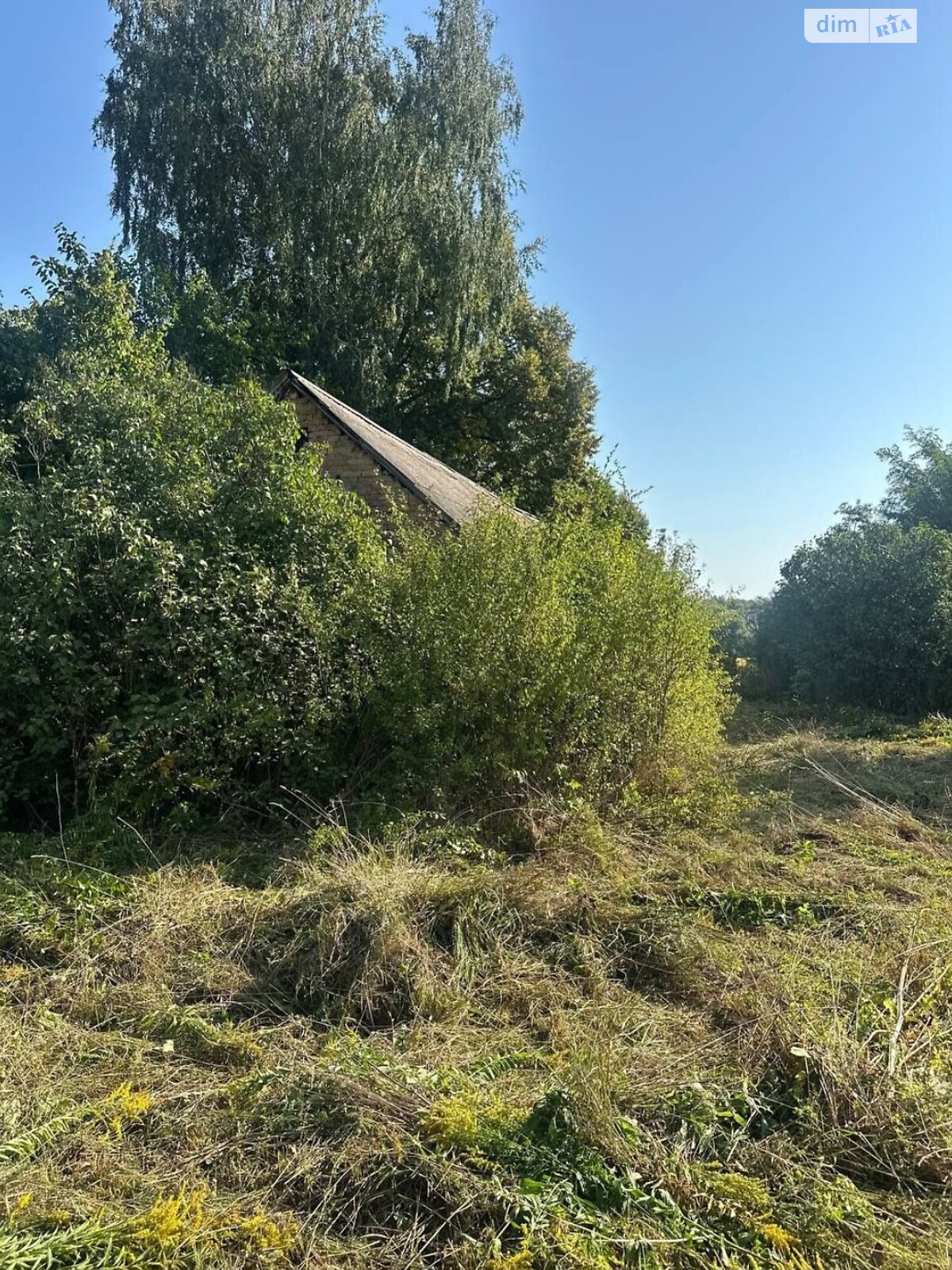 Земельный участок под жилую застройку в Орестове, площадь 59 соток фото 1