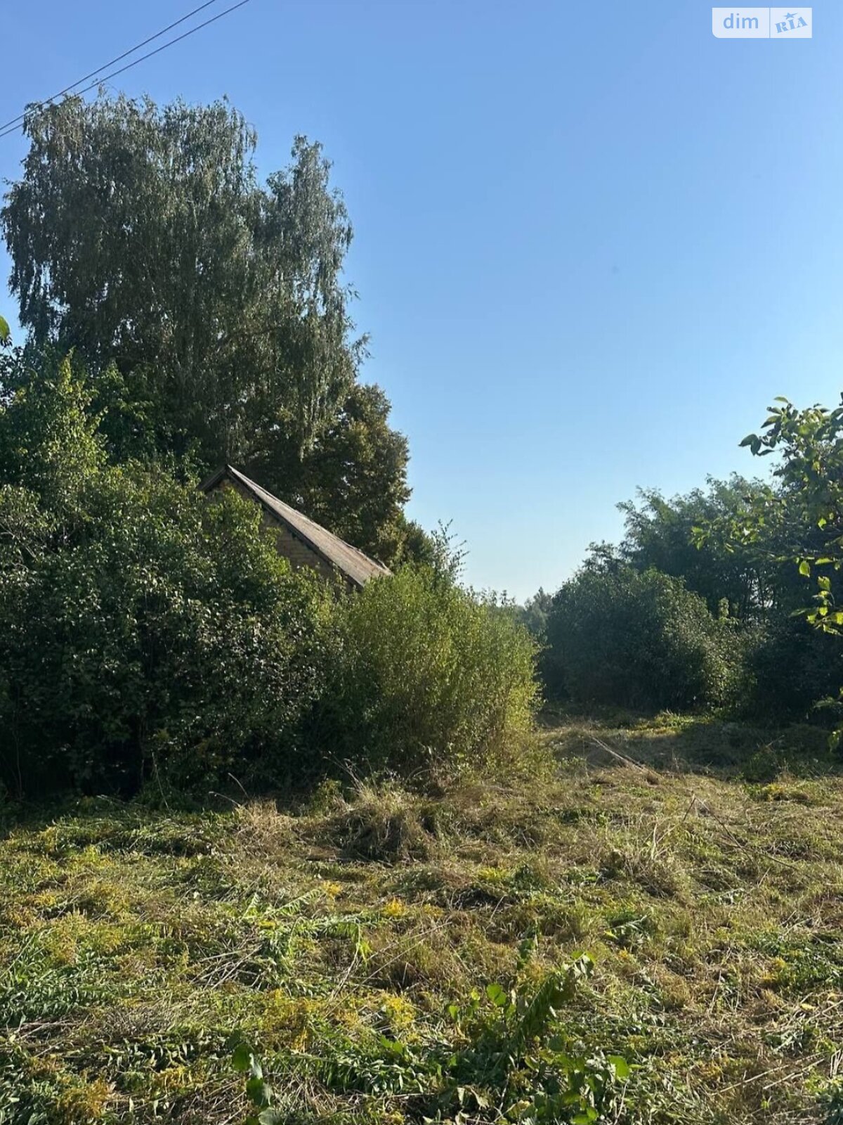 Земельный участок под жилую застройку в Орестове, площадь 59 соток фото 1