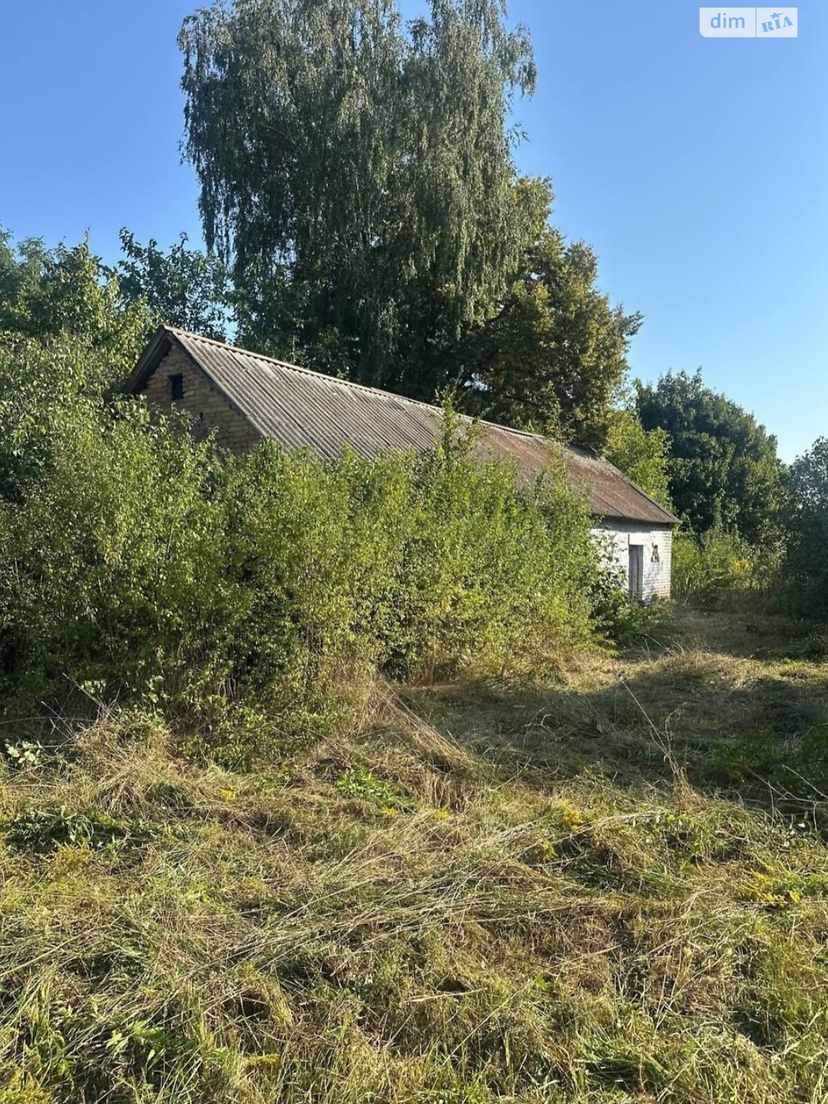 Земельный участок под жилую застройку в Орестове, площадь 59 соток фото 1