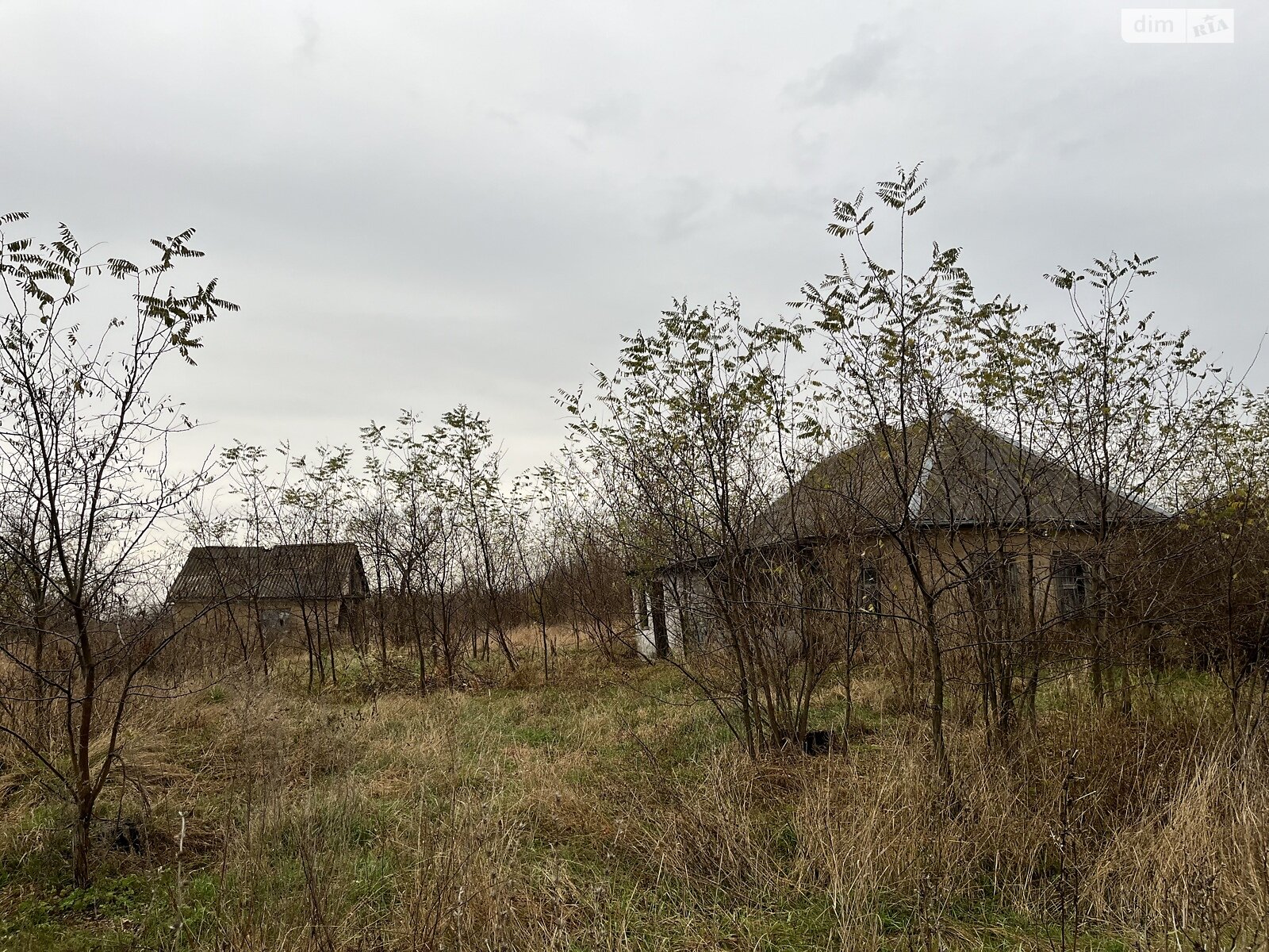 Земельна ділянка під житлову забудову в Орлівщині, площа 50 соток фото 1