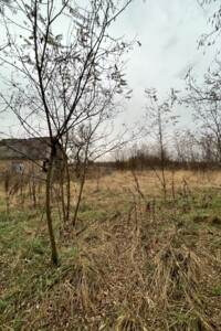 Земельна ділянка під житлову забудову в Орлівщині, площа 50 соток фото 2