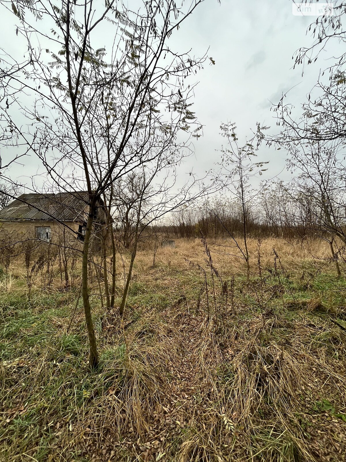 Земельна ділянка під житлову забудову в Орлівщині, площа 50 соток фото 1