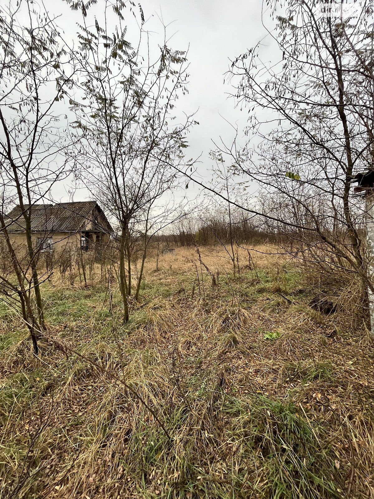 Земельна ділянка під житлову забудову в Орлівщині, площа 50 соток фото 1