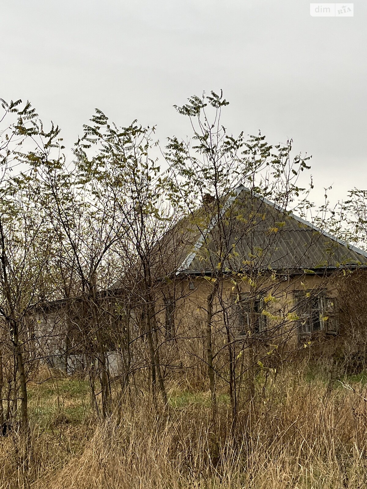 Земельна ділянка під житлову забудову в Орлівщині, площа 50 соток фото 1