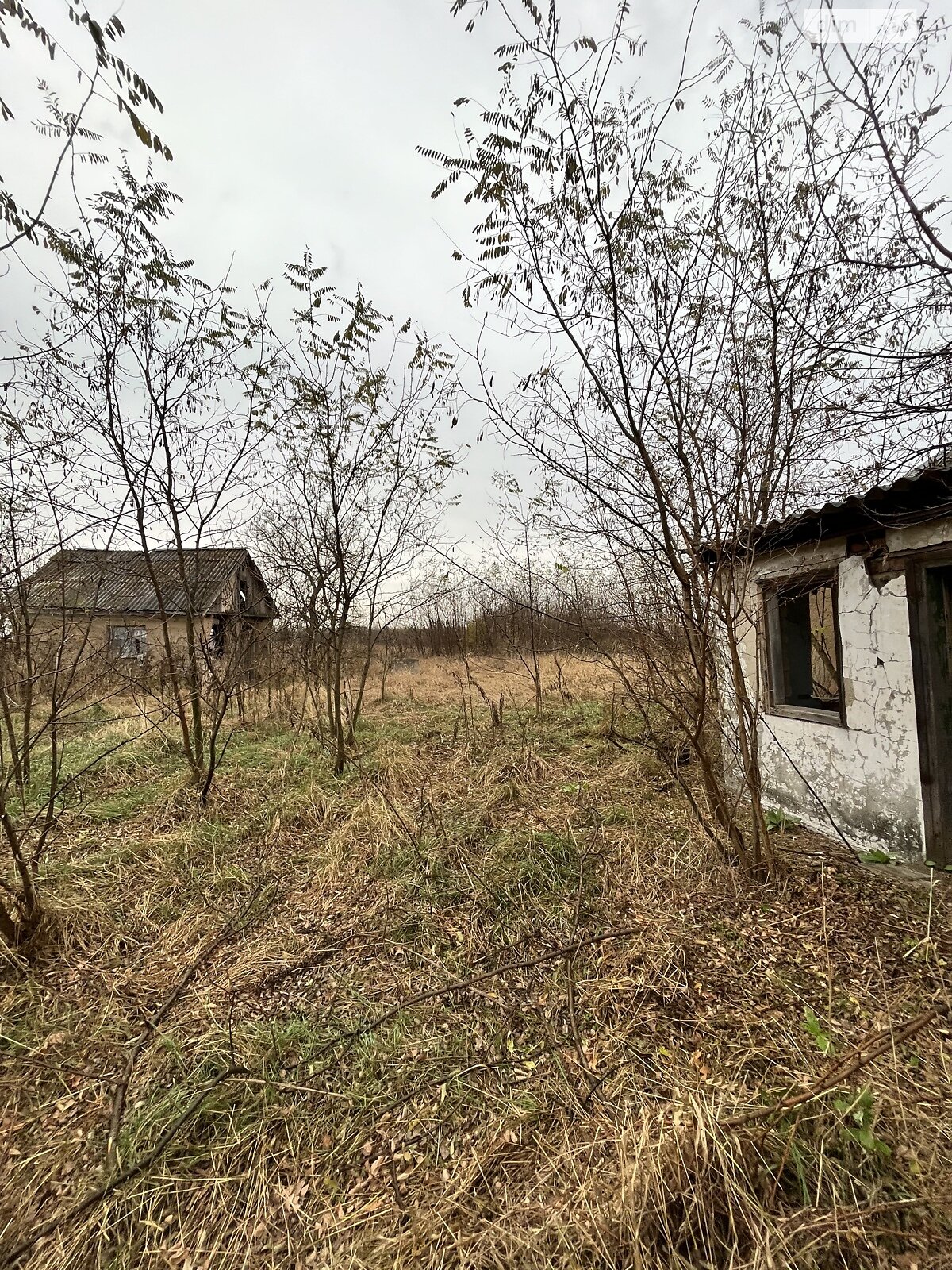 Земельна ділянка під житлову забудову в Орлівщині, площа 50 соток фото 1