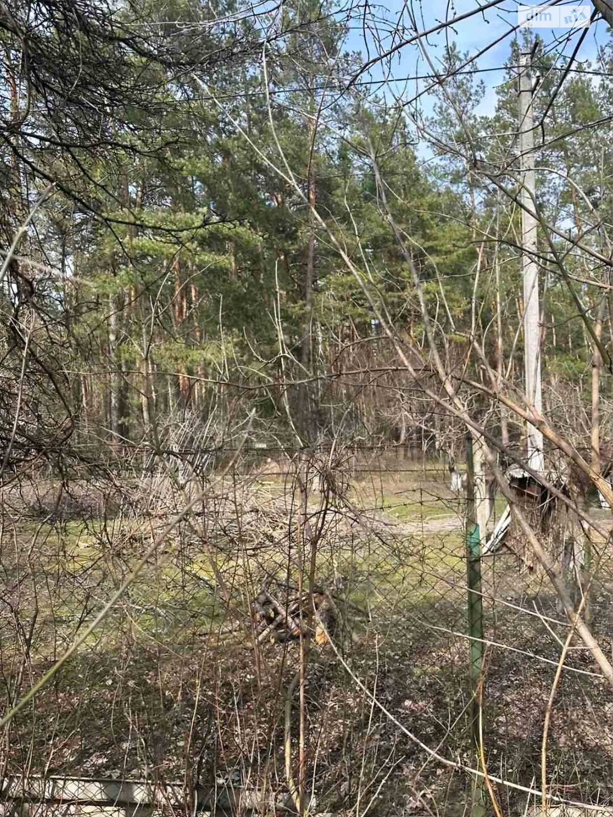 Земельна ділянка під житлову забудову в Орлівщині, площа 0.22 Га фото 1