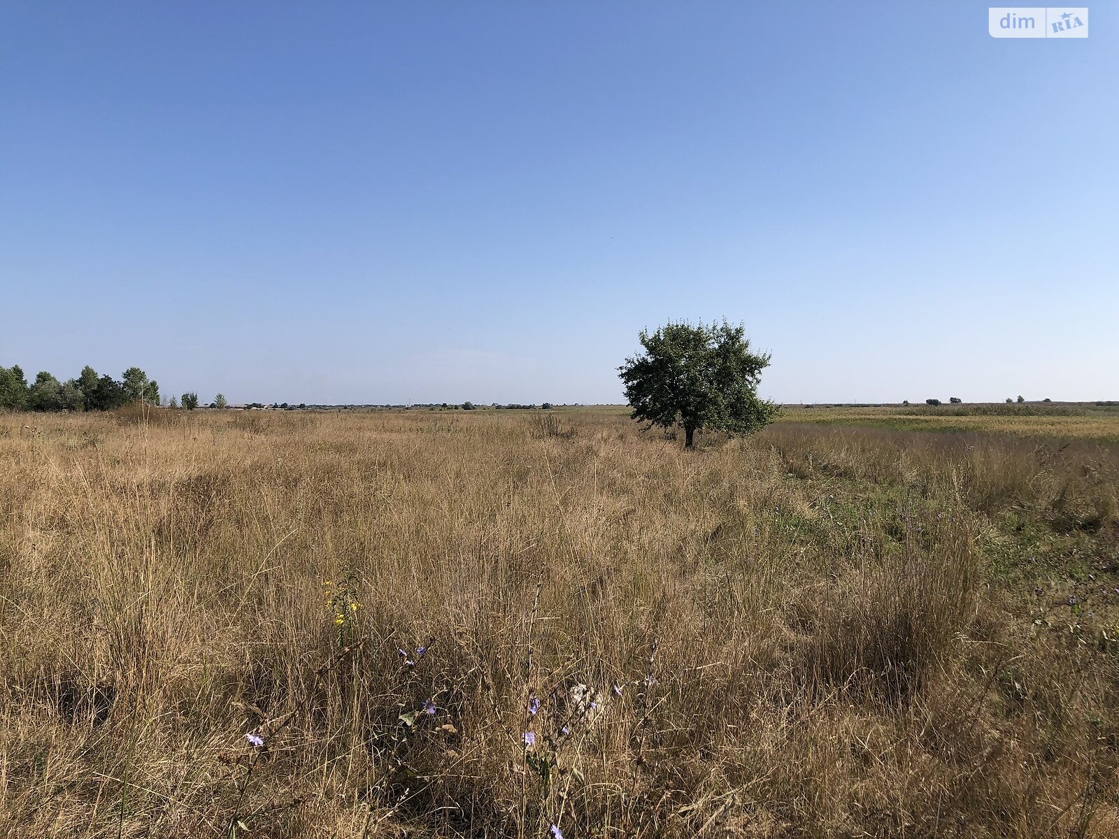 Земельна ділянка під житлову забудову в Орлівщині, площа 210 соток фото 1