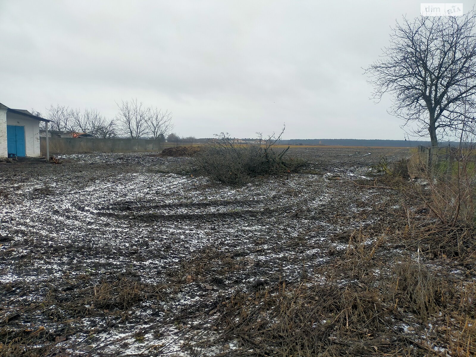 Земельна ділянка під житлову забудову в Острові, площа 60 соток фото 1