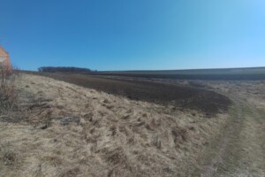 Земельна ділянка під житлову забудову в Острові, площа 25 соток фото 2