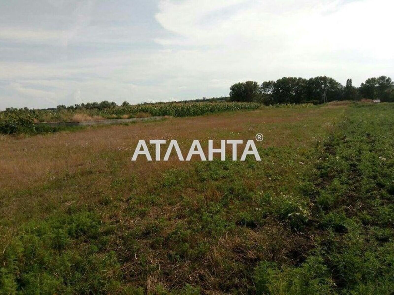 Земельна ділянка під житлову забудову в Барабої, площа 15 соток фото 1