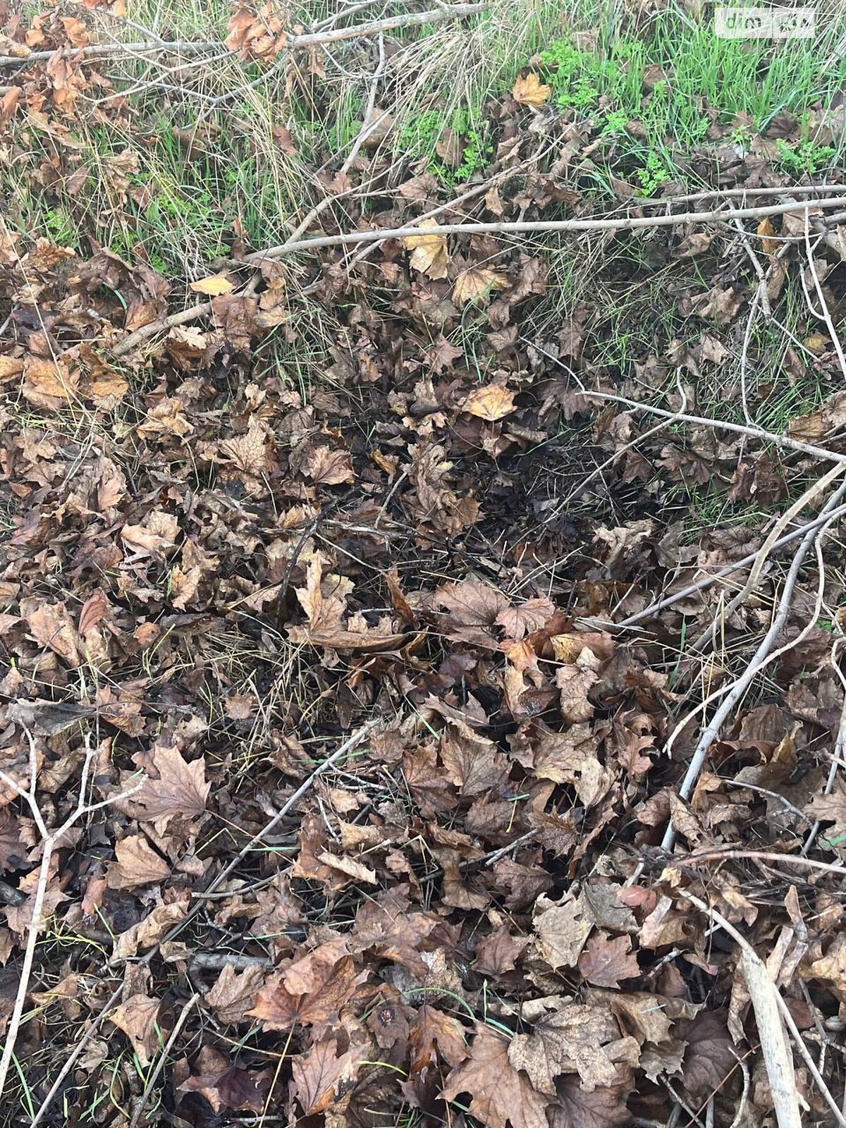 Земля под жилую застройку в Овидиополе, район Овидиополь, площадь 15.02 сотки фото 1