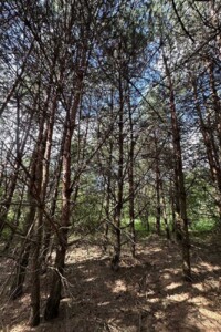 Земельный участок под жилую застройку в Паланках, площадь 10 соток фото 2