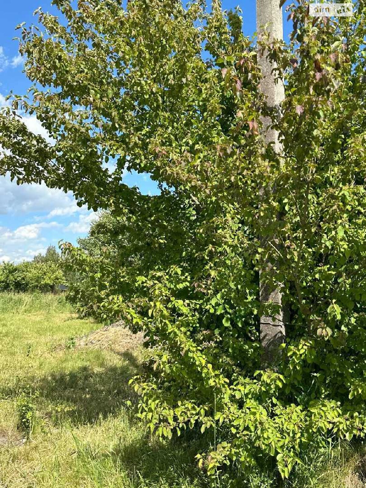 Земельна ділянка під житлову забудову в Паланках, площа 22 сотки фото 1 Земельна ділянка під житлову забудову в Паланках, площа 22 сотки фото 1