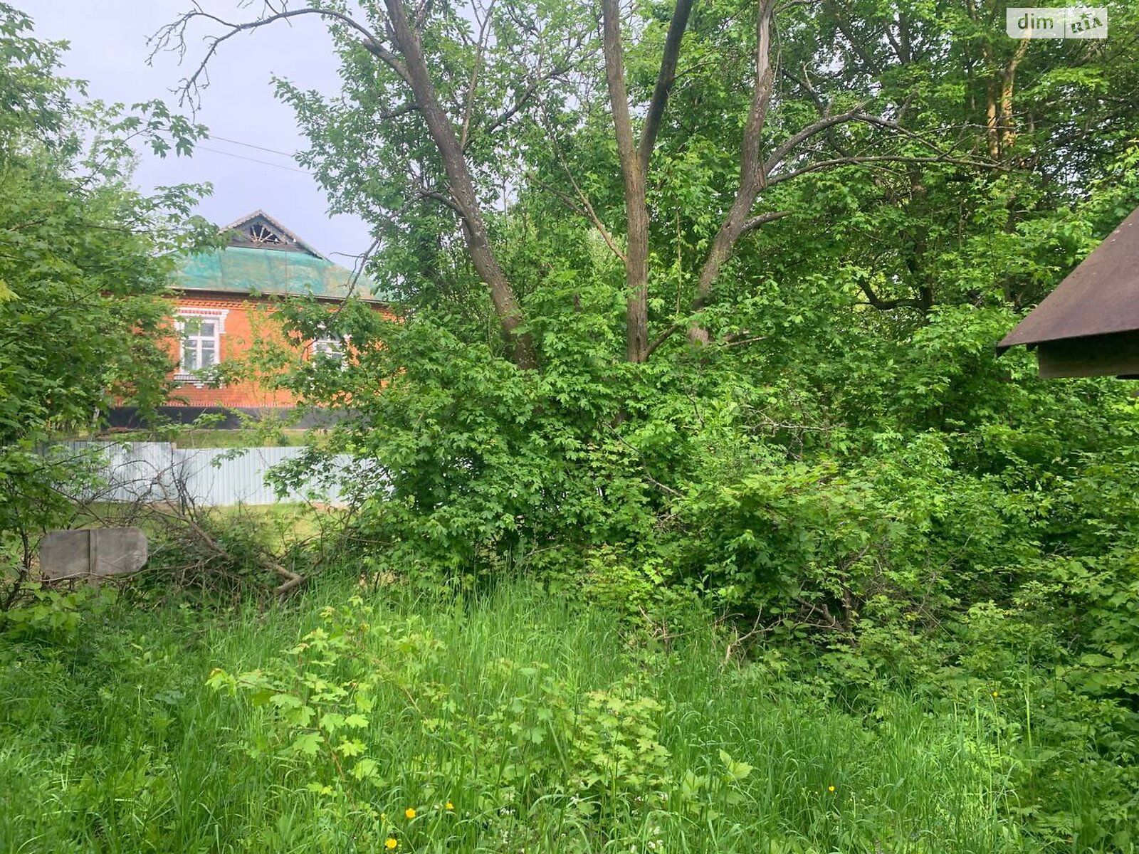 Земельный участок под жилую застройку в Пархомовцах, площадь 25 соток фото 1 Земельный участок под жилую застройку в Пархомовцах, площадь 25 соток фото 1