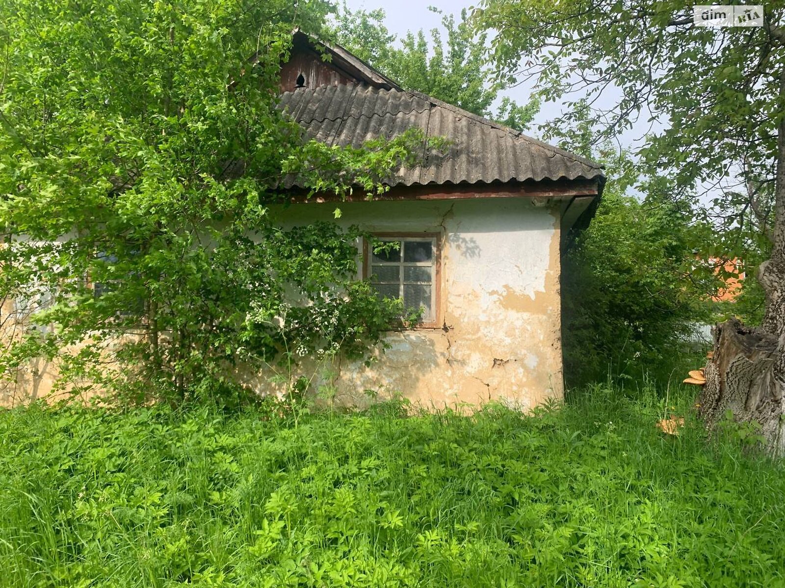 Земельный участок под жилую застройку в Пархомовцах, площадь 25 соток фото 1 Земельный участок под жилую застройку в Пархомовцах, площадь 25 соток фото 1
