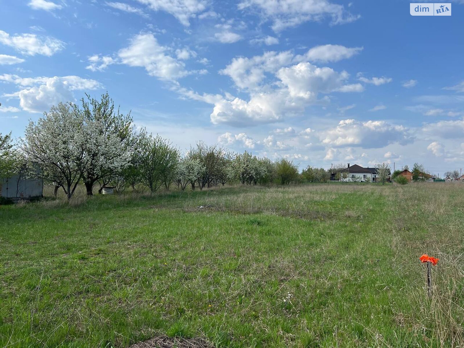 Земельна ділянка під житлову забудову в Парпурівцях, площа 19.69 сотки фото 1 Земельна ділянка під житлову забудову в Парпурівцях, площа 19.69 сотки фото 1