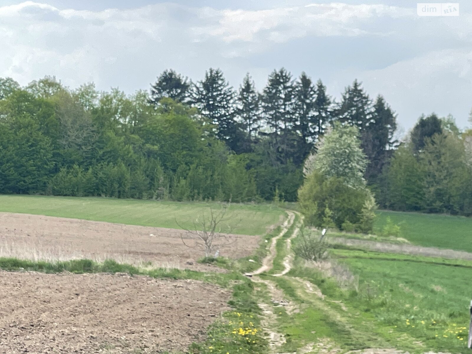 Земельна ділянка під житлову забудову в Парпурівцях, площа 33.6 сотки фото 1 Земельна ділянка під житлову забудову в Парпурівцях, площа 33.6 сотки фото 1